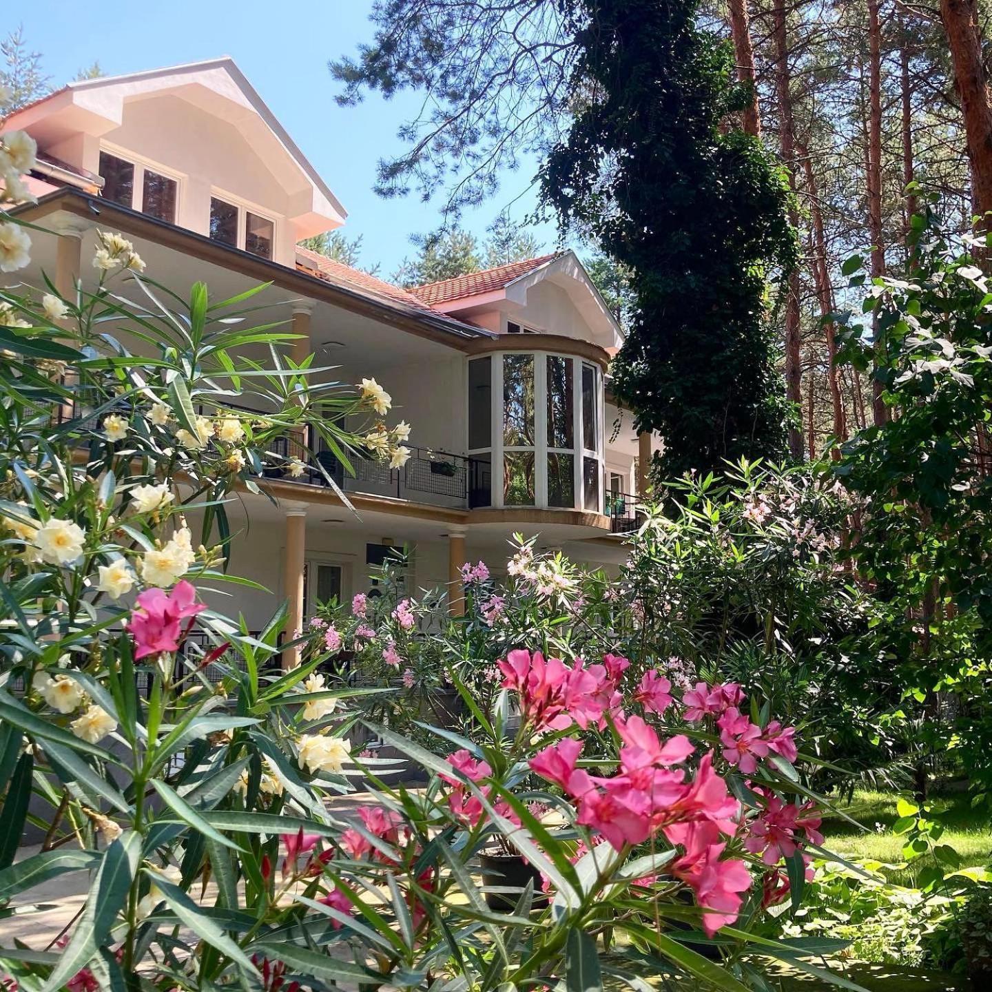 Hotel Vila Dunavski Raj Golubac Esterno foto